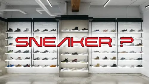 Giày Sneaker là gì? Những điều người mới gia nhập nên biết | KICKSPLANET