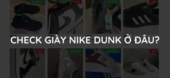Check giày Nike Dunk chính hãng ở đâu? | KICKSPLANET